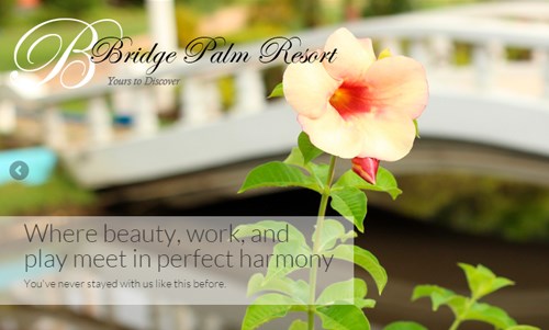 Bridge Palm Resort website project